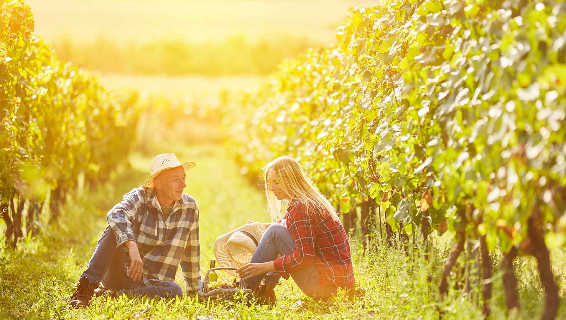 Mann und Frau sitzen in der Wiese im Weingarten