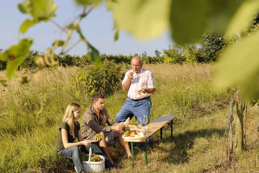 Picknick im Weingarten