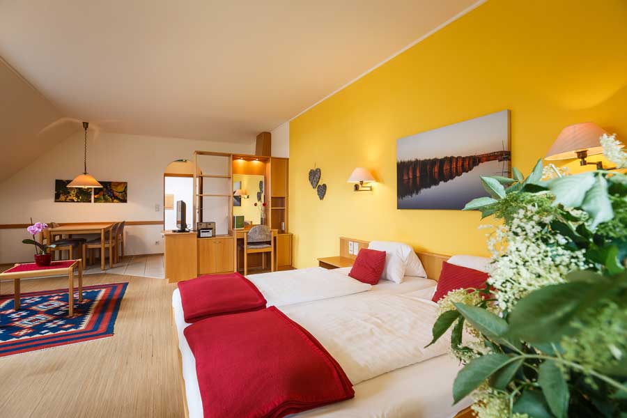 Wohnraum mit Bett, Essecke und Ablageflächen